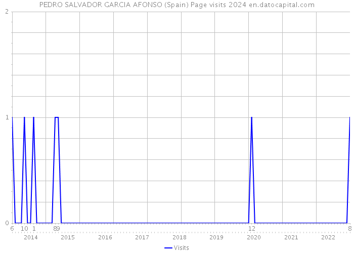 PEDRO SALVADOR GARCIA AFONSO (Spain) Page visits 2024 