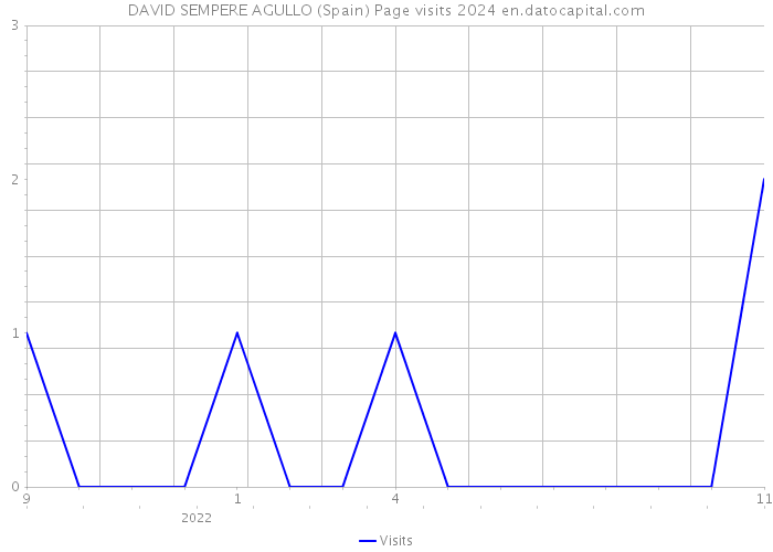 DAVID SEMPERE AGULLO (Spain) Page visits 2024 