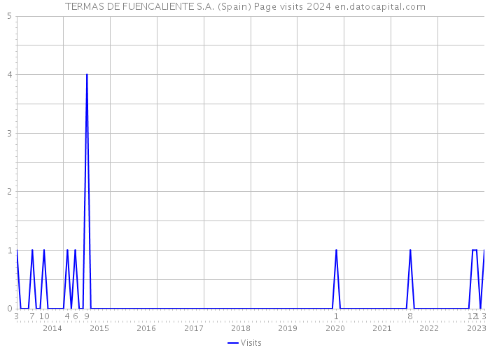 TERMAS DE FUENCALIENTE S.A. (Spain) Page visits 2024 
