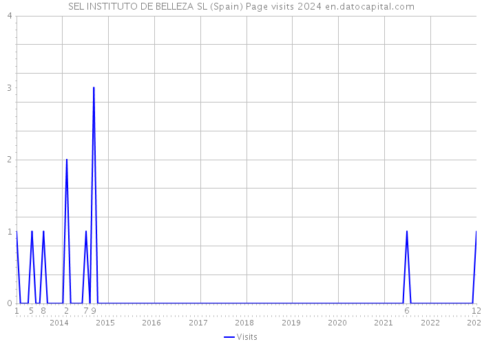SEL INSTITUTO DE BELLEZA SL (Spain) Page visits 2024 
