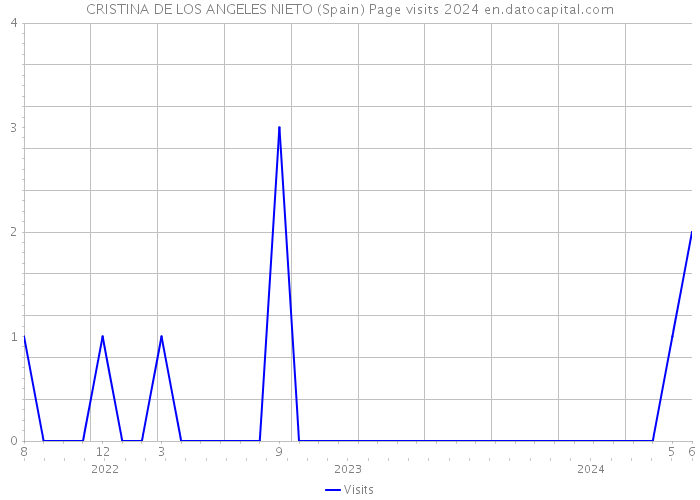 CRISTINA DE LOS ANGELES NIETO (Spain) Page visits 2024 