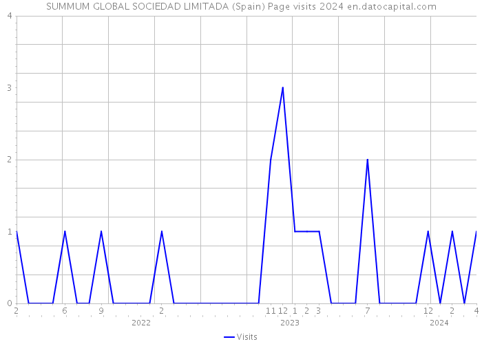 SUMMUM GLOBAL SOCIEDAD LIMITADA (Spain) Page visits 2024 