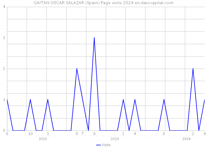 GAITAN OSCAR SALAZAR (Spain) Page visits 2024 
