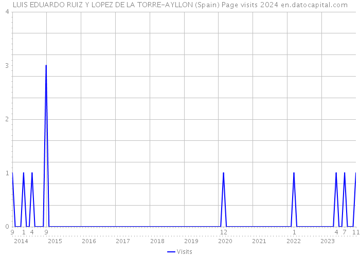 LUIS EDUARDO RUIZ Y LOPEZ DE LA TORRE-AYLLON (Spain) Page visits 2024 