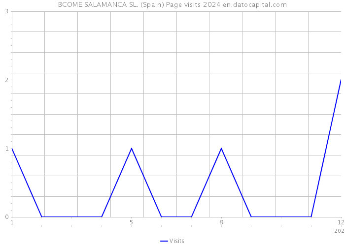 BCOME SALAMANCA SL. (Spain) Page visits 2024 