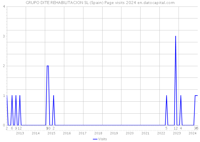 GRUPO DITE REHABILITACION SL (Spain) Page visits 2024 