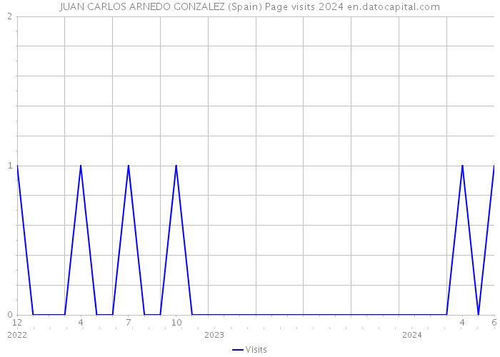 JUAN CARLOS ARNEDO GONZALEZ (Spain) Page visits 2024 