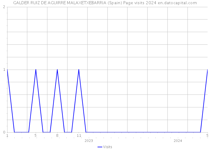 GALDER RUIZ DE AGUIRRE MALAXETXEBARRIA (Spain) Page visits 2024 
