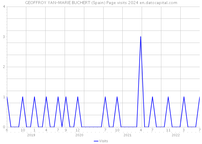 GEOFFROY YAN-MARIE BUCHERT (Spain) Page visits 2024 