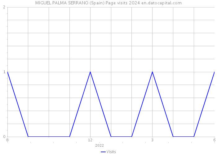 MIGUEL PALMA SERRANO (Spain) Page visits 2024 