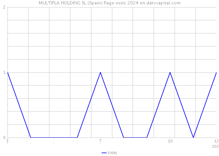 MULTIPLA HOLDING SL (Spain) Page visits 2024 