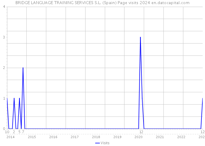 BRIDGE LANGUAGE TRAINING SERVICES S.L. (Spain) Page visits 2024 