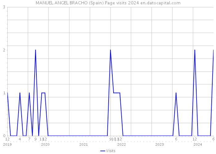 MANUEL ANGEL BRACHO (Spain) Page visits 2024 