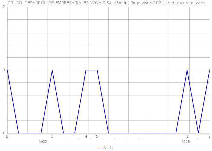 GRUPO DESARROLLOS EMPRESARIALES NOVA S S.L. (Spain) Page visits 2024 