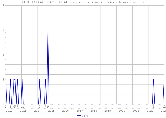 PUNT ECO AGROAMBIENTAL SL (Spain) Page visits 2024 