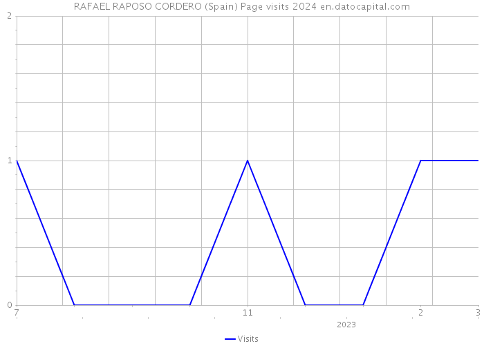 RAFAEL RAPOSO CORDERO (Spain) Page visits 2024 