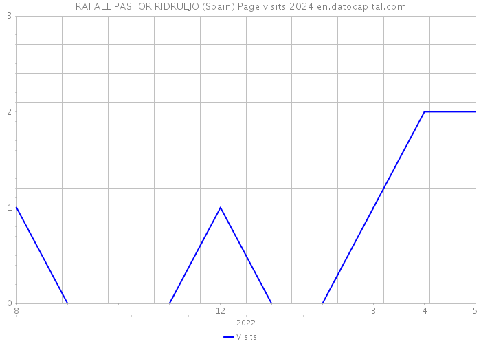 RAFAEL PASTOR RIDRUEJO (Spain) Page visits 2024 
