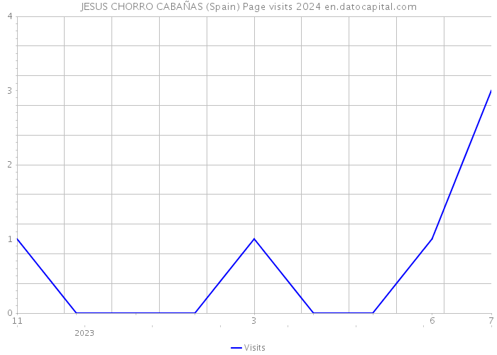 JESUS CHORRO CABAÑAS (Spain) Page visits 2024 