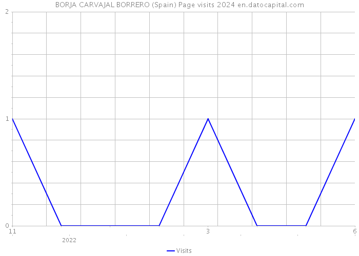 BORJA CARVAJAL BORRERO (Spain) Page visits 2024 