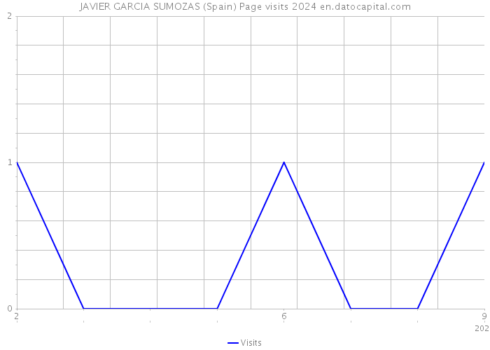 JAVIER GARCIA SUMOZAS (Spain) Page visits 2024 