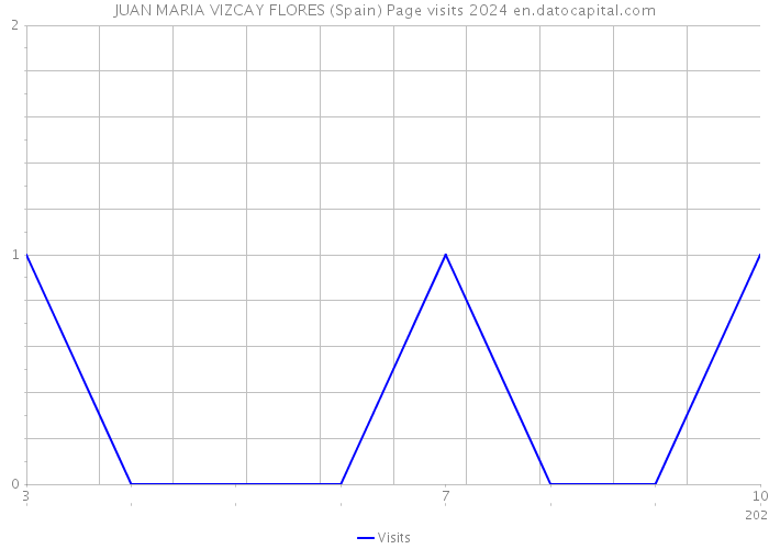 JUAN MARIA VIZCAY FLORES (Spain) Page visits 2024 