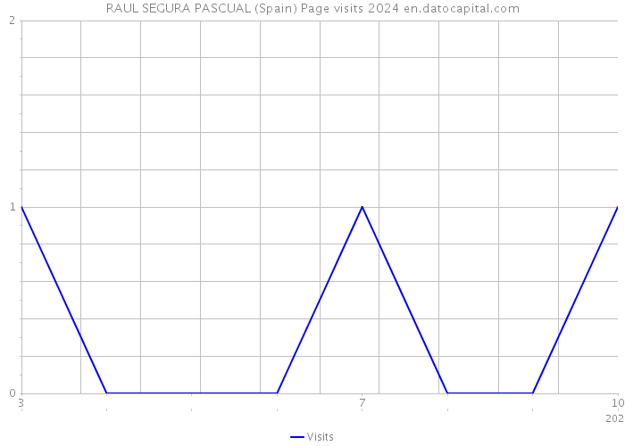RAUL SEGURA PASCUAL (Spain) Page visits 2024 
