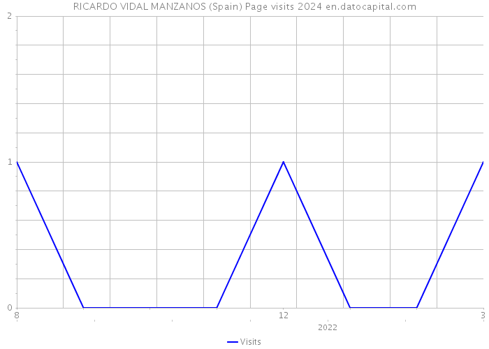 RICARDO VIDAL MANZANOS (Spain) Page visits 2024 
