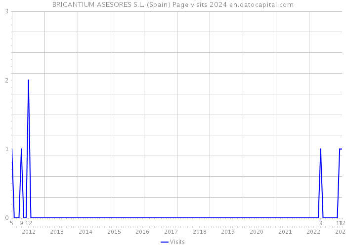 BRIGANTIUM ASESORES S.L. (Spain) Page visits 2024 