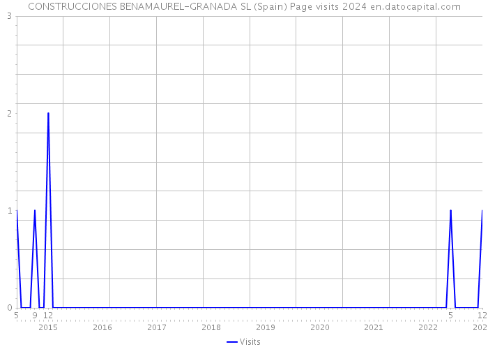 CONSTRUCCIONES BENAMAUREL-GRANADA SL (Spain) Page visits 2024 