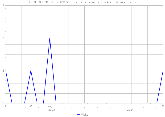 PETROL DEL NORTE 2020 SL (Spain) Page visits 2024 