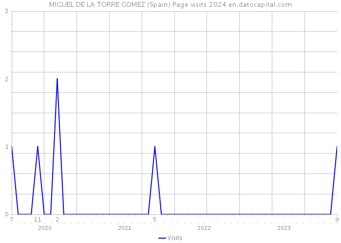 MIGUEL DE LA TORRE GOMEZ (Spain) Page visits 2024 