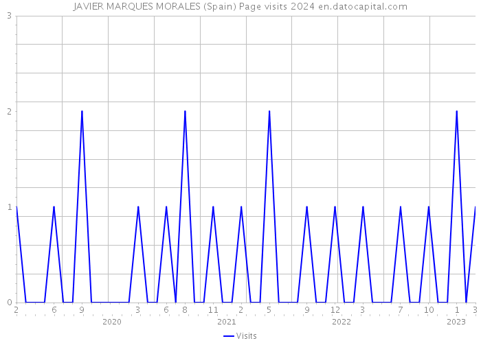 JAVIER MARQUES MORALES (Spain) Page visits 2024 