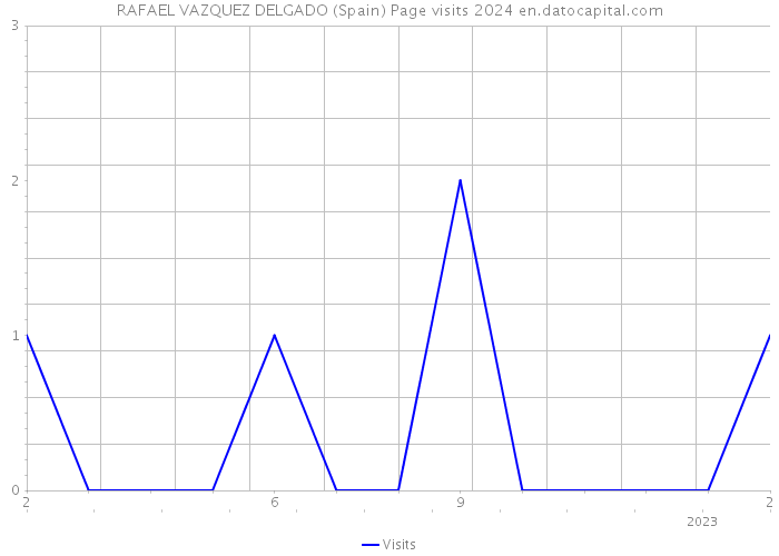 RAFAEL VAZQUEZ DELGADO (Spain) Page visits 2024 