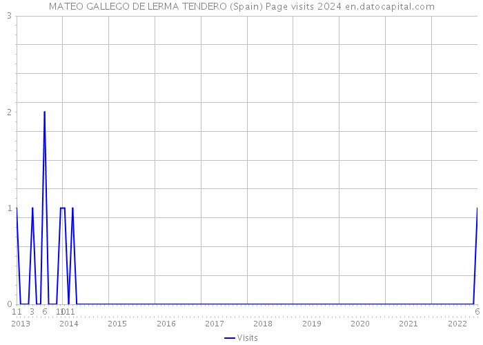 MATEO GALLEGO DE LERMA TENDERO (Spain) Page visits 2024 