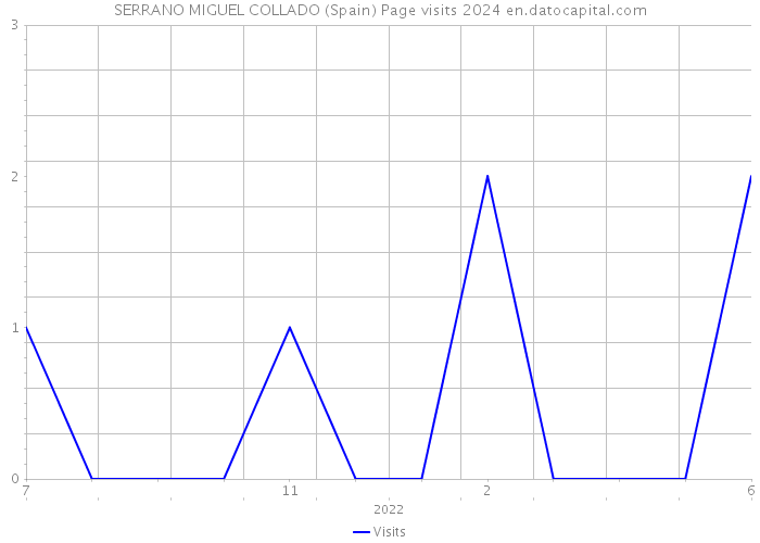 SERRANO MIGUEL COLLADO (Spain) Page visits 2024 