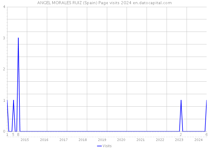 ANGEL MORALES RUIZ (Spain) Page visits 2024 