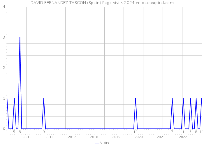 DAVID FERNANDEZ TASCON (Spain) Page visits 2024 