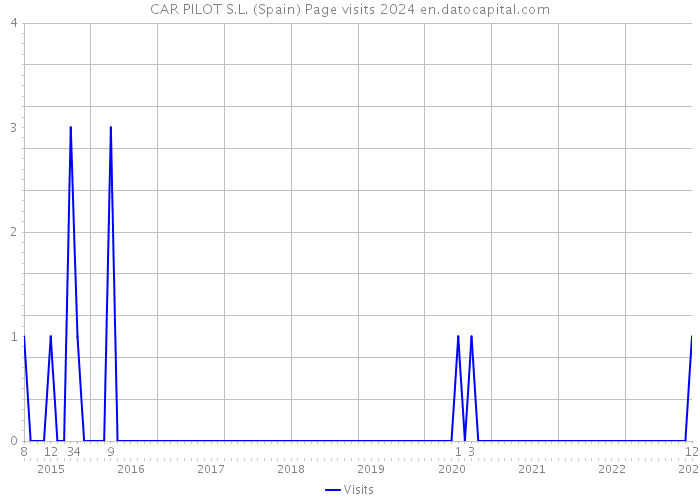 CAR PILOT S.L. (Spain) Page visits 2024 