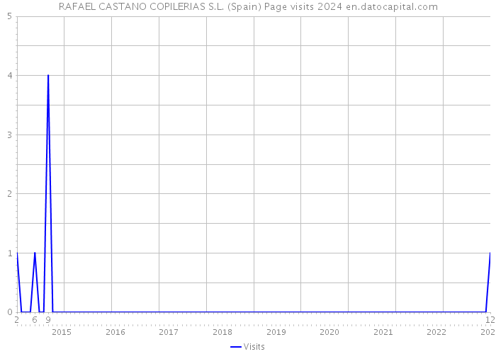 RAFAEL CASTANO COPILERIAS S.L. (Spain) Page visits 2024 