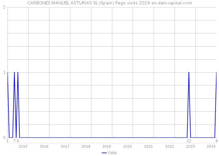 CARBONES MANUEL ASTURIAS SL (Spain) Page visits 2024 