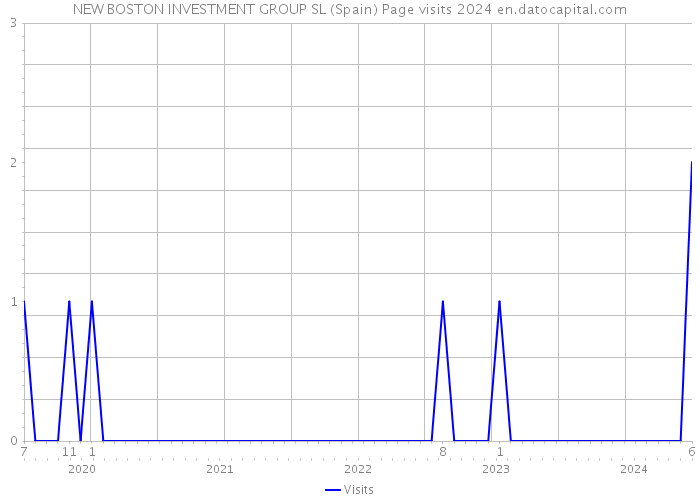 NEW BOSTON INVESTMENT GROUP SL (Spain) Page visits 2024 