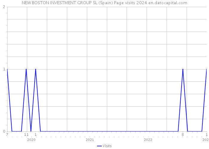 NEW BOSTON INVESTMENT GROUP SL (Spain) Page visits 2024 