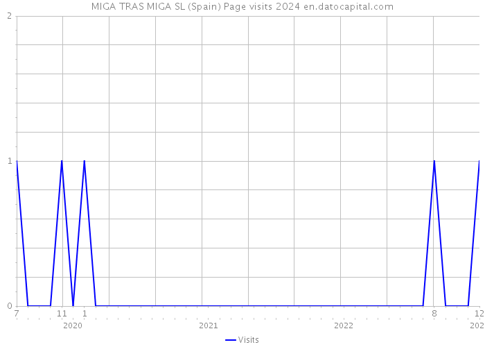 MIGA TRAS MIGA SL (Spain) Page visits 2024 