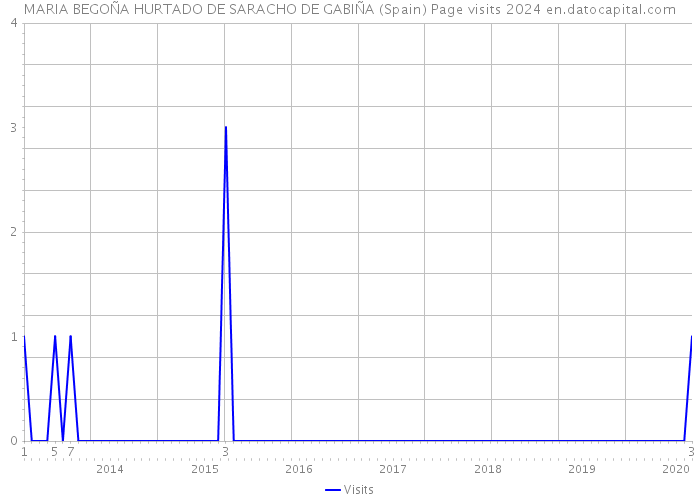 MARIA BEGOÑA HURTADO DE SARACHO DE GABIÑA (Spain) Page visits 2024 