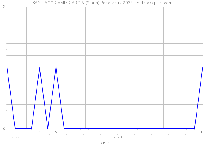 SANTIAGO GAMIZ GARCIA (Spain) Page visits 2024 
