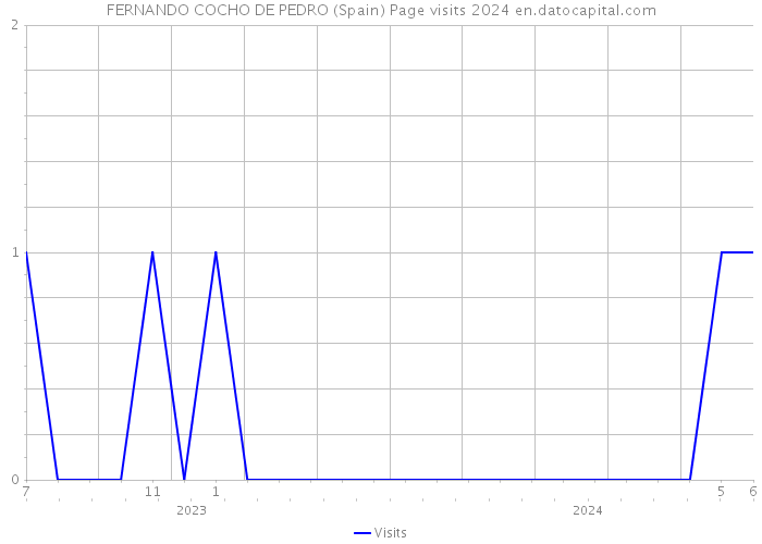 FERNANDO COCHO DE PEDRO (Spain) Page visits 2024 