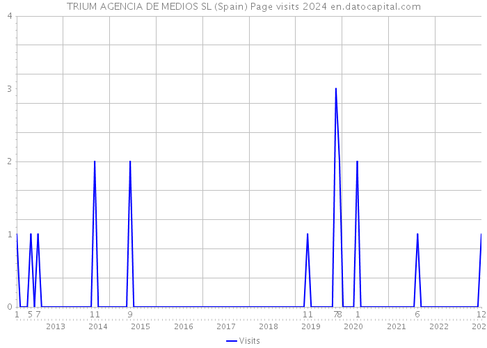 TRIUM AGENCIA DE MEDIOS SL (Spain) Page visits 2024 