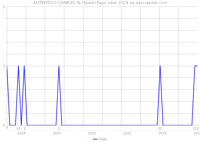 AUTENTICO CARBON, SL (Spain) Page visits 2024 
