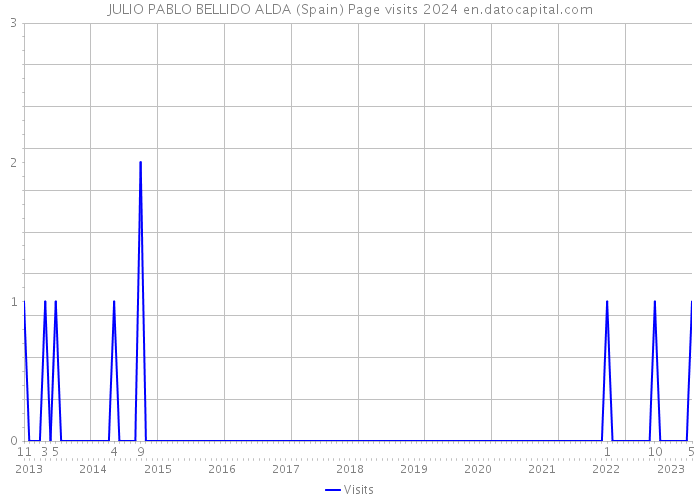JULIO PABLO BELLIDO ALDA (Spain) Page visits 2024 
