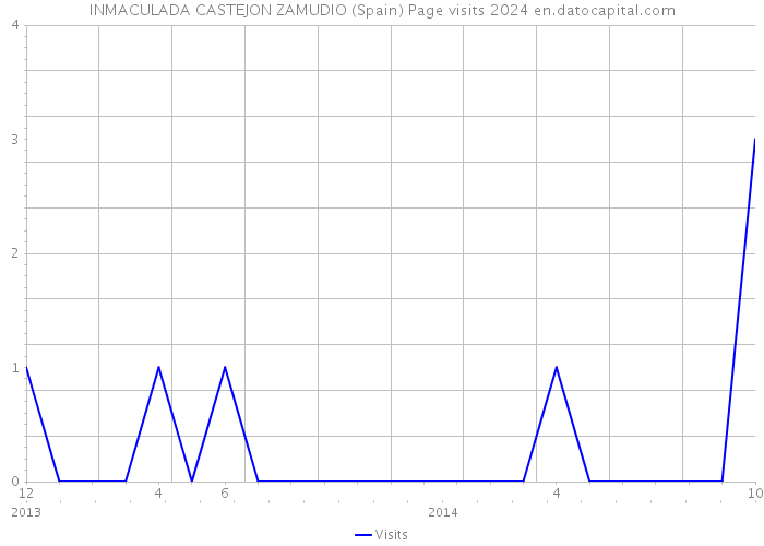 INMACULADA CASTEJON ZAMUDIO (Spain) Page visits 2024 